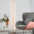 Ray Simple Linéaire LED Lampadaire Or Noir Métal Gel de Silice Salon Chambre - Neutralighting