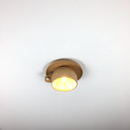 Arisha Moderne Bois Tasse Plafonnier Chambre à Coucher - Neutralighting