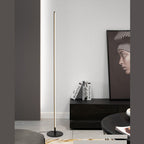 Ray Simple Linéaire LED Lampadaire Or Noir Métal Gel de Silice Salon Chambre - Neutralighting
