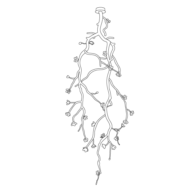 Lustra Lustre Noir Branche Fleur - Neutralighting