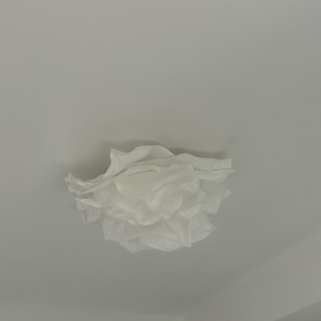 Ritta Conception Fleur Métal Plafonnier Étude Chambre à Coucher - Neutralighting