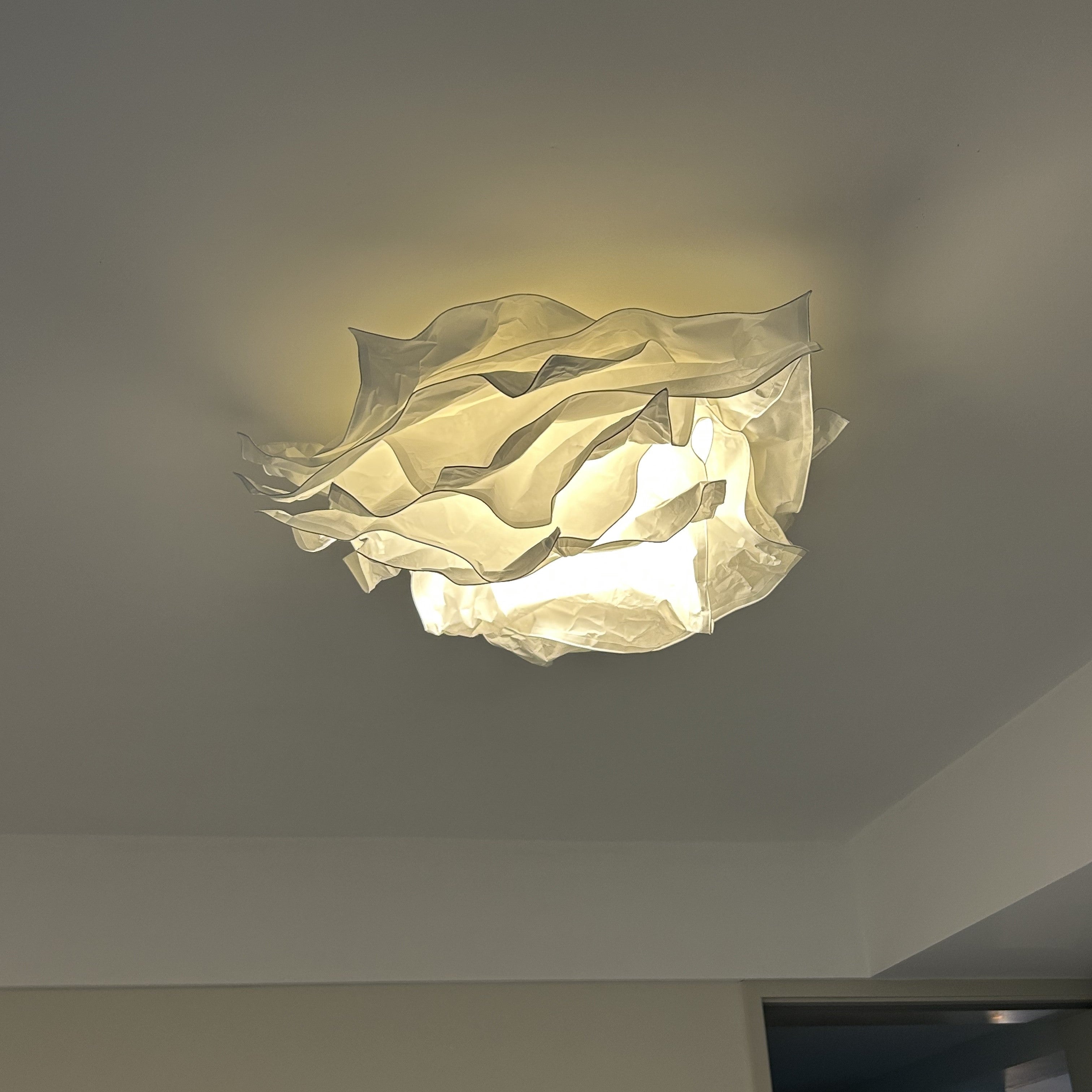Ritta Conception Fleur Métal Plafonnier Étude Chambre à Coucher - Neutralighting