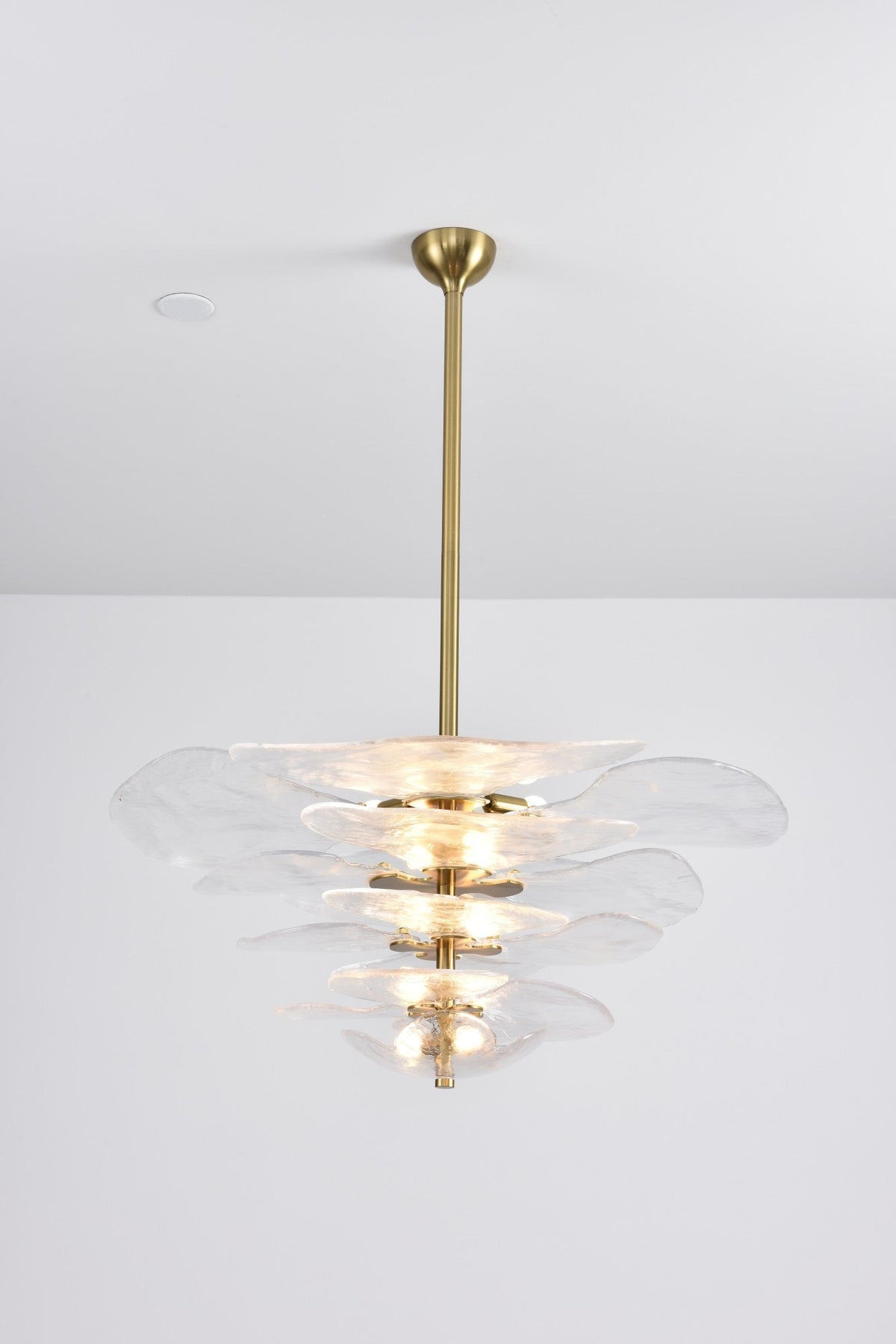 Aurora Chandelier Pétale en Verre Murano Doré Luxe - Neutralighting