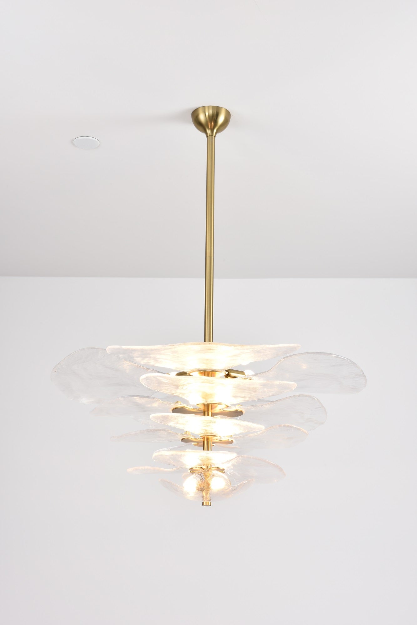 Aurora Chandelier Pétale en Verre Murano Doré Luxe - Neutralighting