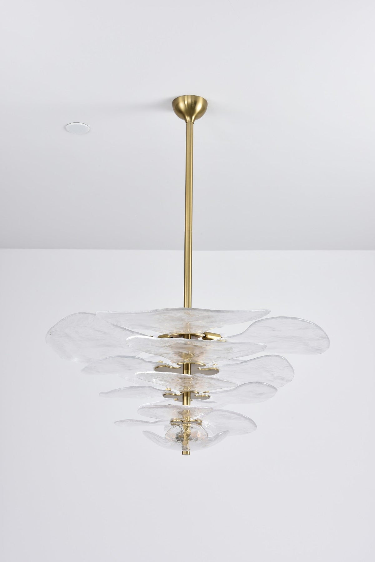 Aurora Chandelier Pétale en Verre Murano Doré Luxe - Neutralighting