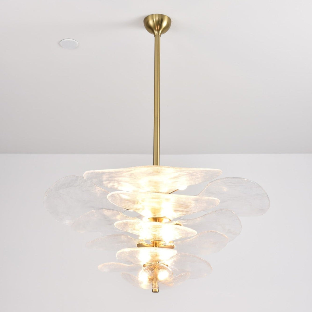 Aurora Chandelier Pétale en Verre Murano Doré Luxe - Neutralighting