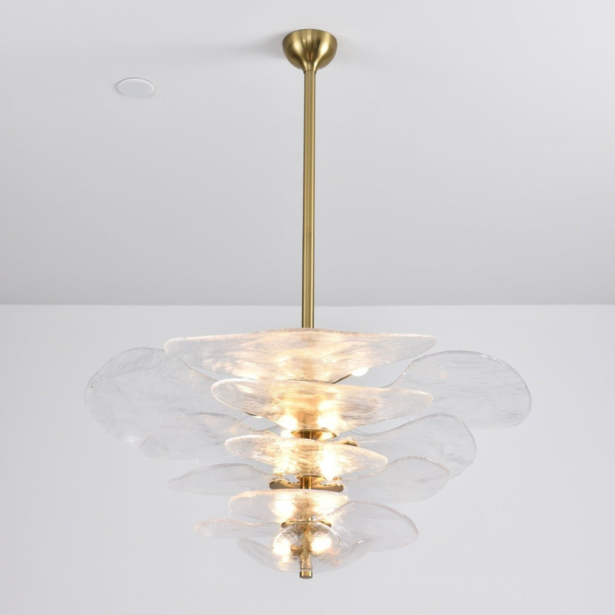 Aurora Chandelier Pétale en Verre Murano Doré Luxe - Neutralighting
