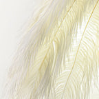 O'Moore Applique Murale Design LED Plume Moderne Métal Plume Blanc Chambre à Coucher/Salon - Neutralighting
