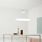 Aleris Suspension Minimaliste en Acier - Neutralighting