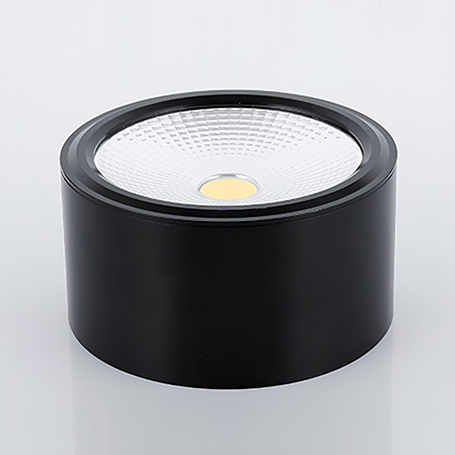 Nero Lampe Plafonnier Classique en Acier - Neutralighting