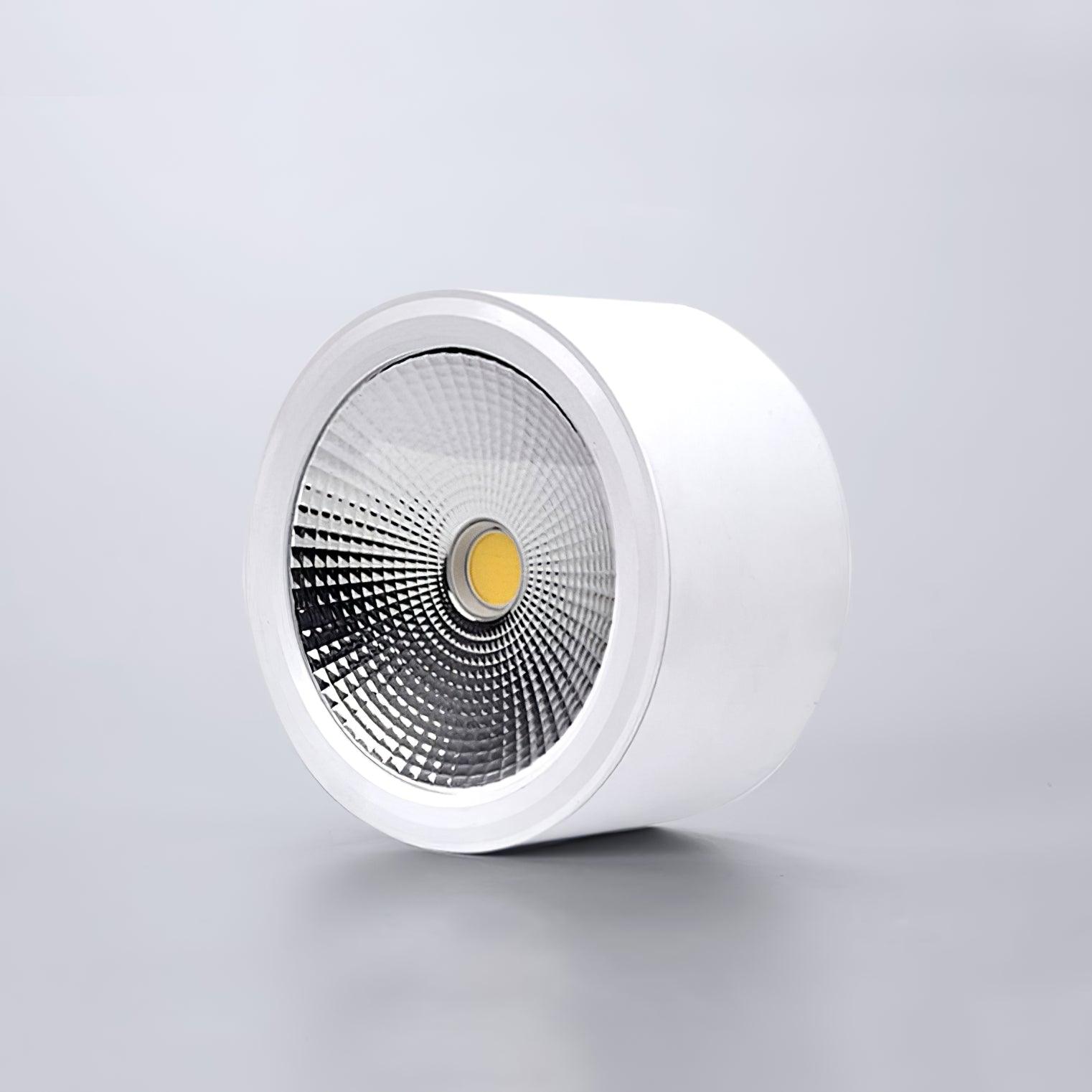 Nero Lampe Plafonnier Classique en Acier - Neutralighting