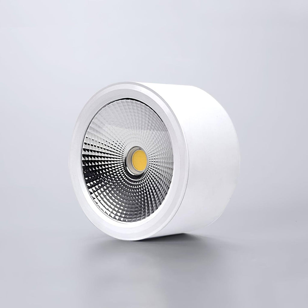 Nero Lampe Plafonnier Classique en Acier - Neutralighting