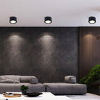Nero Lampe Plafonnier Classique en Acier - Neutralighting