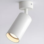 Vosilel Plafonnier Projecteur Minimaliste Moderne - Neutralighting