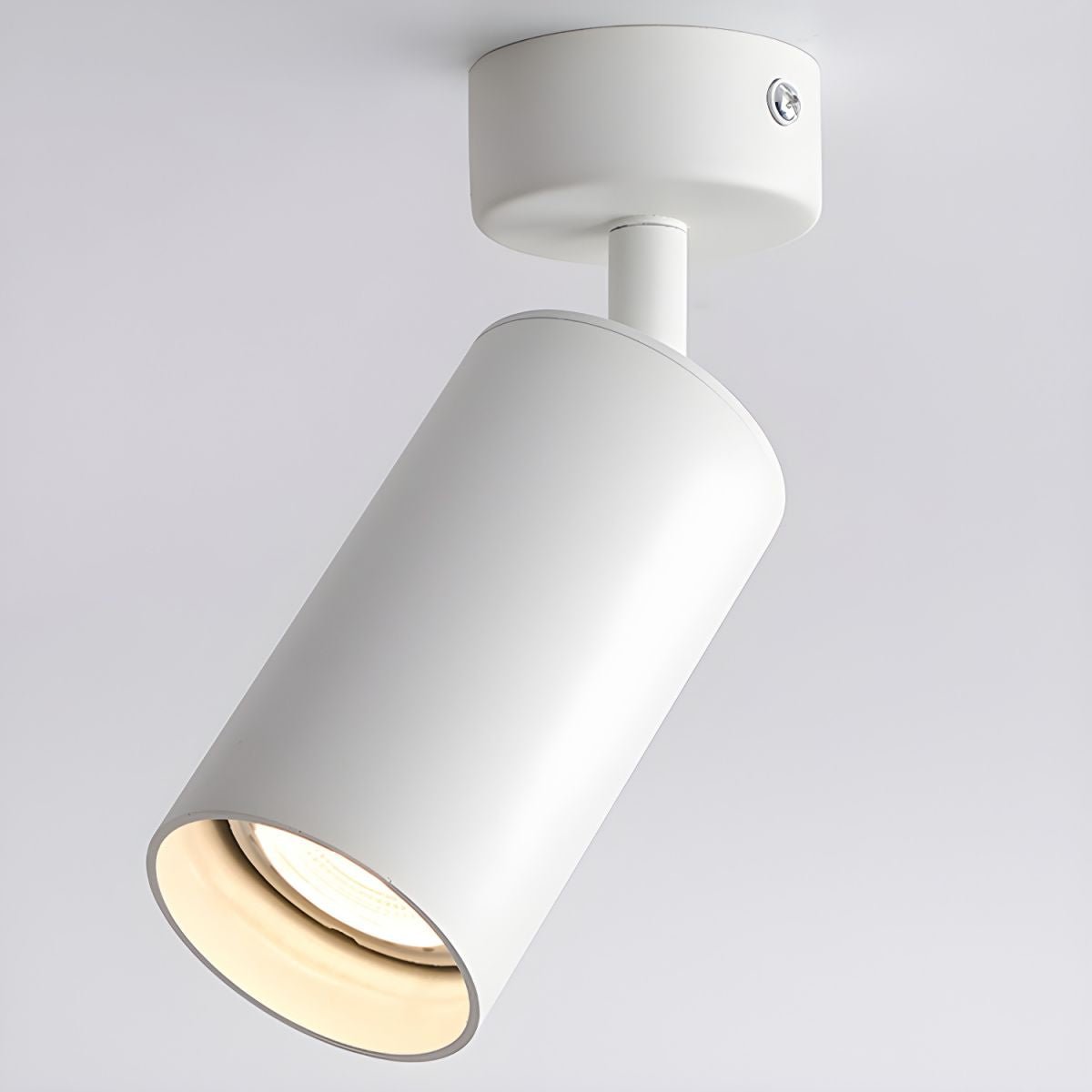 Vosilel Plafonnier Projecteur Minimaliste Moderne - Neutralighting