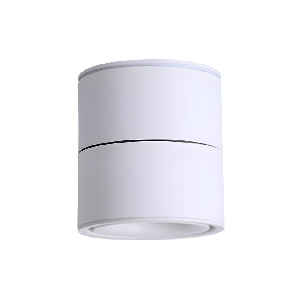 Evsolia Plafonnier Moderne Minimaliste à Surface - Neutralighting
