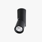 Arisha Cylindre Simple LED Plafonnier Blanc Noir Métal Salon - Neutralighting