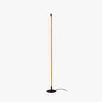 Ray Simple Linéaire LED Lampadaire Or Noir Métal Gel de Silice Salon Chambre - Neutralighting
