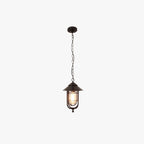 Silva Suspension Extérieure Lanterne Vintage, Métal/Verre, Noir/Bronze, Jardin - Neutralighting