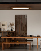 Icarira Plafonnier Canal Minimaliste Moderne - Neutralighting