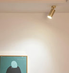 Grover Applique Murale Projecteur Laiton Orientable - Neutralighting