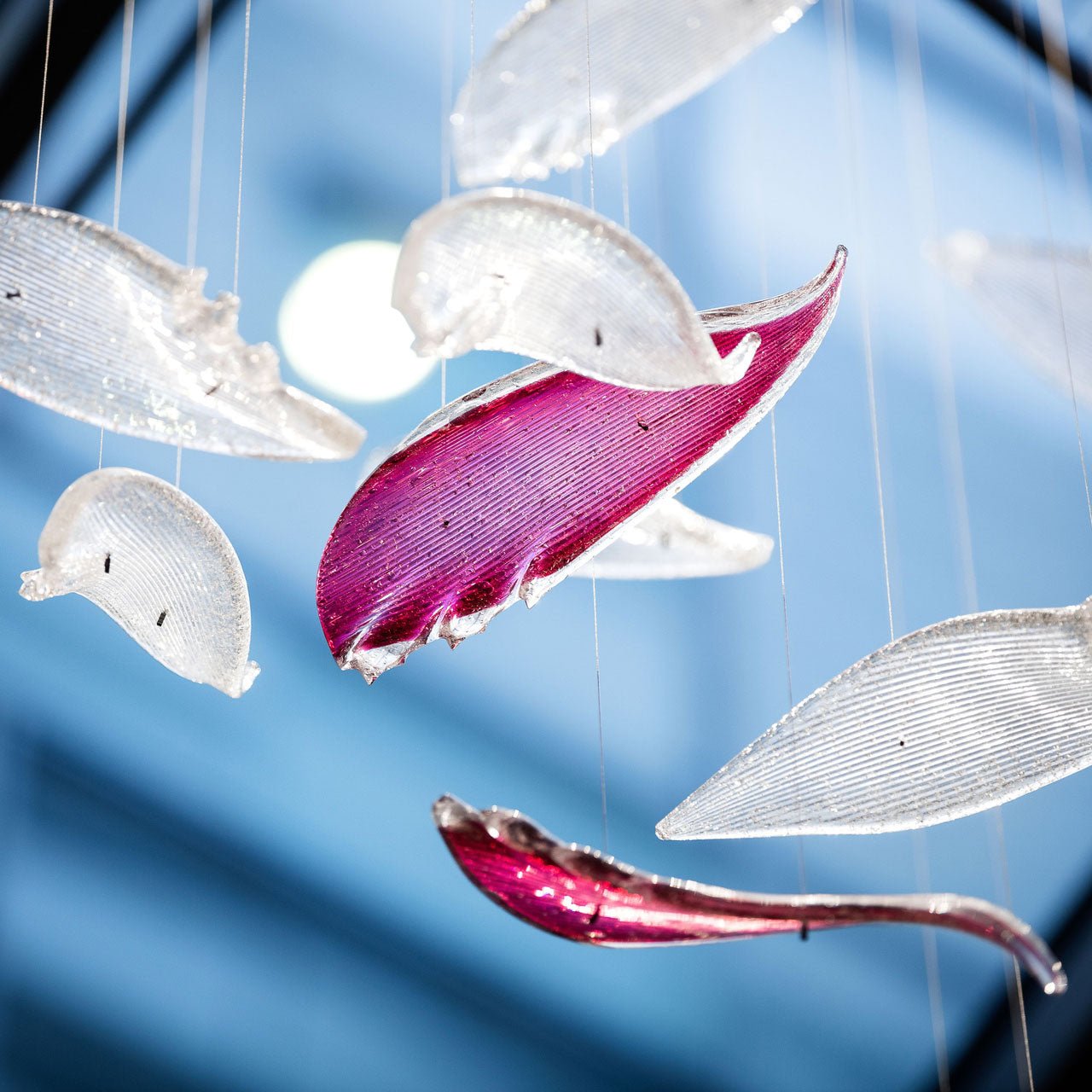 Zathaara Verre Plume Forme Lustre - Neutralighting