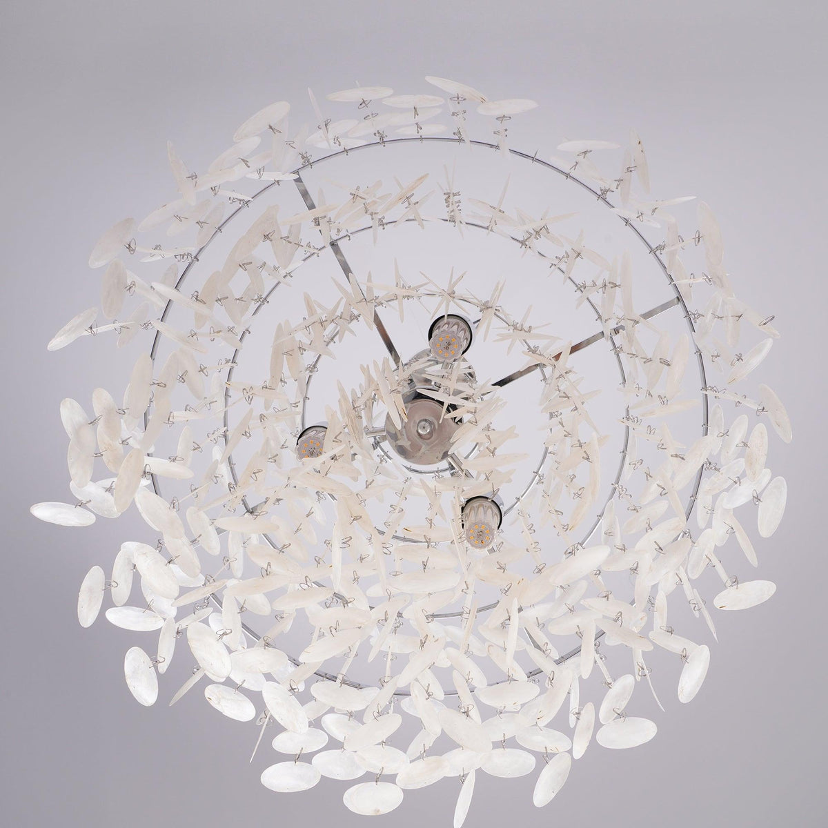 Lustra Suspension Lampe Anneau Rond en Coquillage - Neutralighting