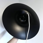 Zarinara Suspension - Neutralighting
