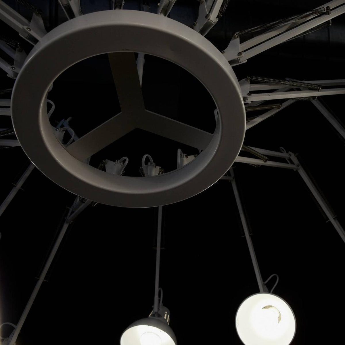 Lustra Chandelier Noir à Bras Multiples Ajustables - Neutralighting