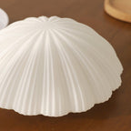 Solara Plafonnier Forme Coquillage Cannelé Doux Élégant - Neutralighting