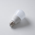 Clad Ampoule LED Dimmable en Verre E27 6W - Neutralighting