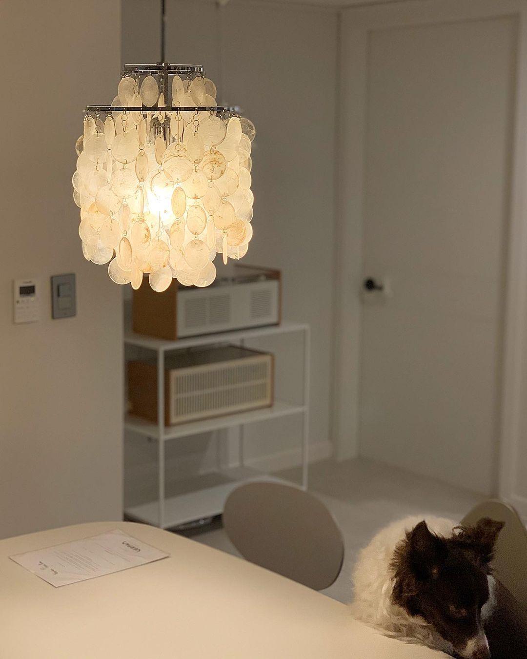 Lustra Suspension Lampe Anneau Rond en Coquillage - Neutralighting
