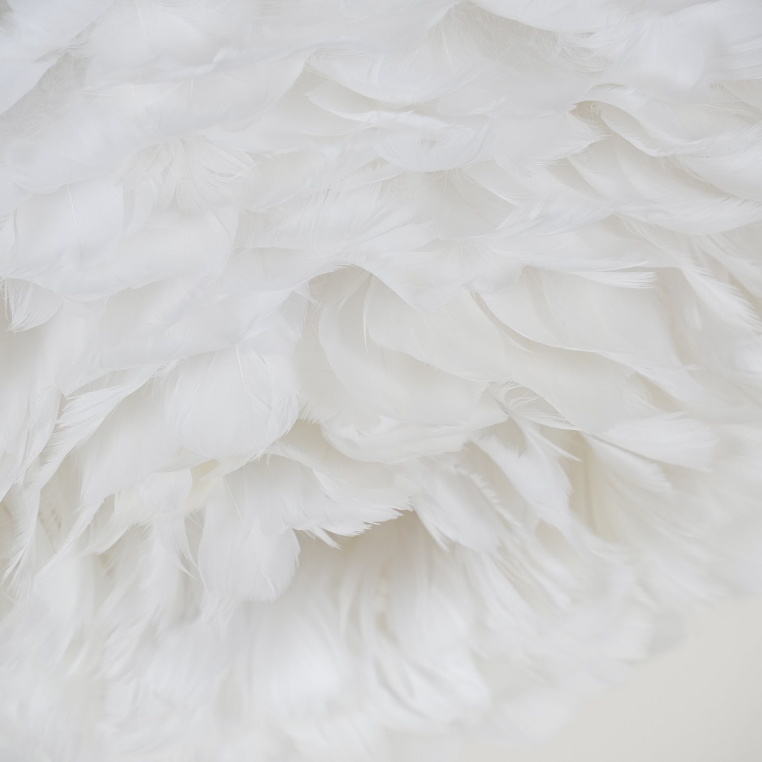 Zalore Plafonnier Art Nordic Premium Plumes - Neutralighting
