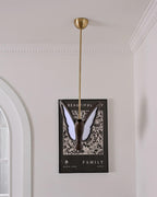 Galileo Papillon Suspension Sculptural - Neutralighting