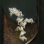 Alvenan Chandelier Combinaison Céramique Gingko - Neutralighting