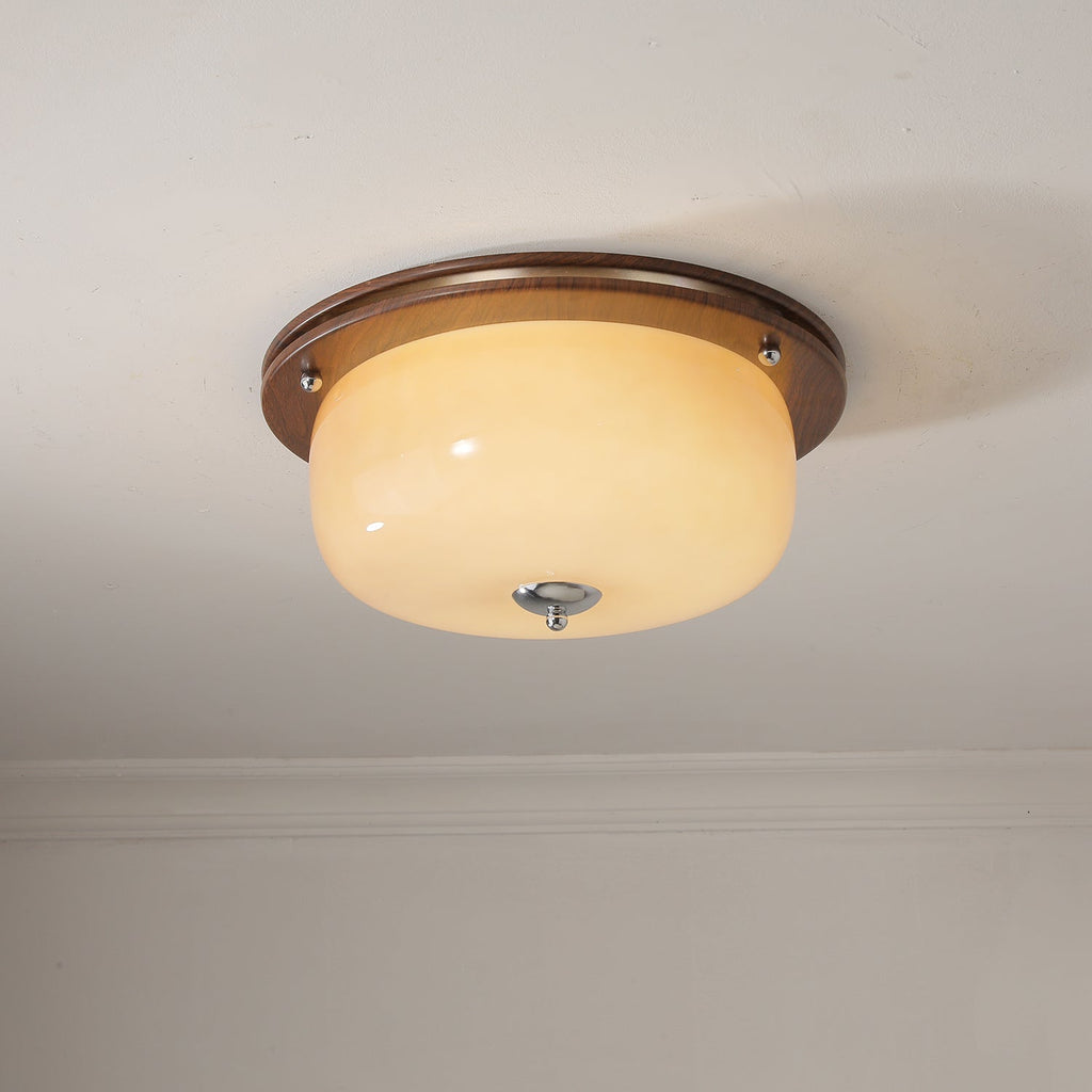 Vetheel Plafonnier Art Nordique Haut de Gamme en Verre Dôme - Neutralighting