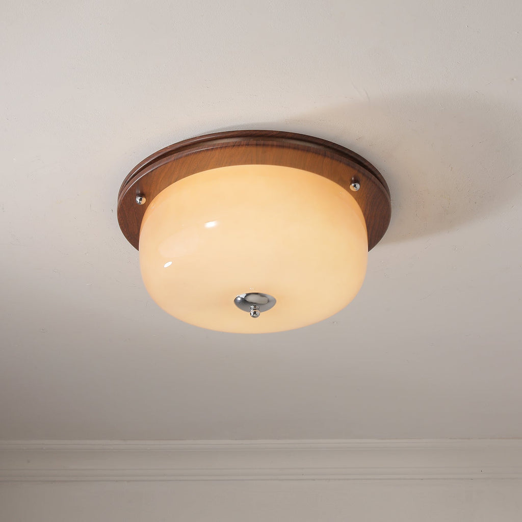 Vetheel Plafonnier Art Nordique Haut de Gamme en Verre Dôme - Neutralighting
