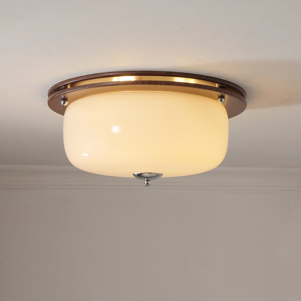 Vetheel Plafonnier Art Nordique Haut de Gamme en Verre Dôme - Neutralighting