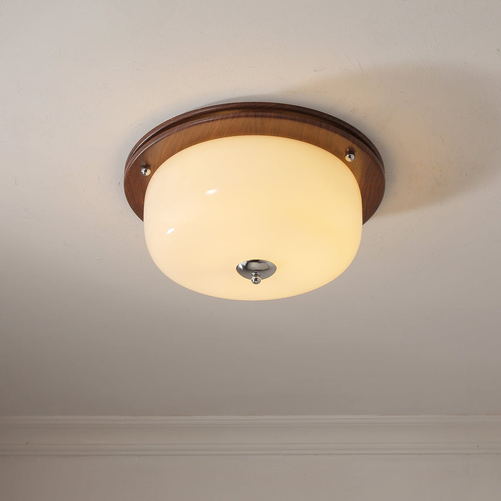 Vetheel Plafonnier Art Nordique Haut de Gamme en Verre Dôme - Neutralighting