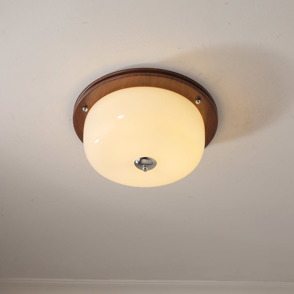 Vetheel Plafonnier Art Nordique Haut de Gamme en Verre Dôme - Neutralighting