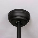 Zazoren Plafonnier Verre Noir Vintage - Neutralighting
