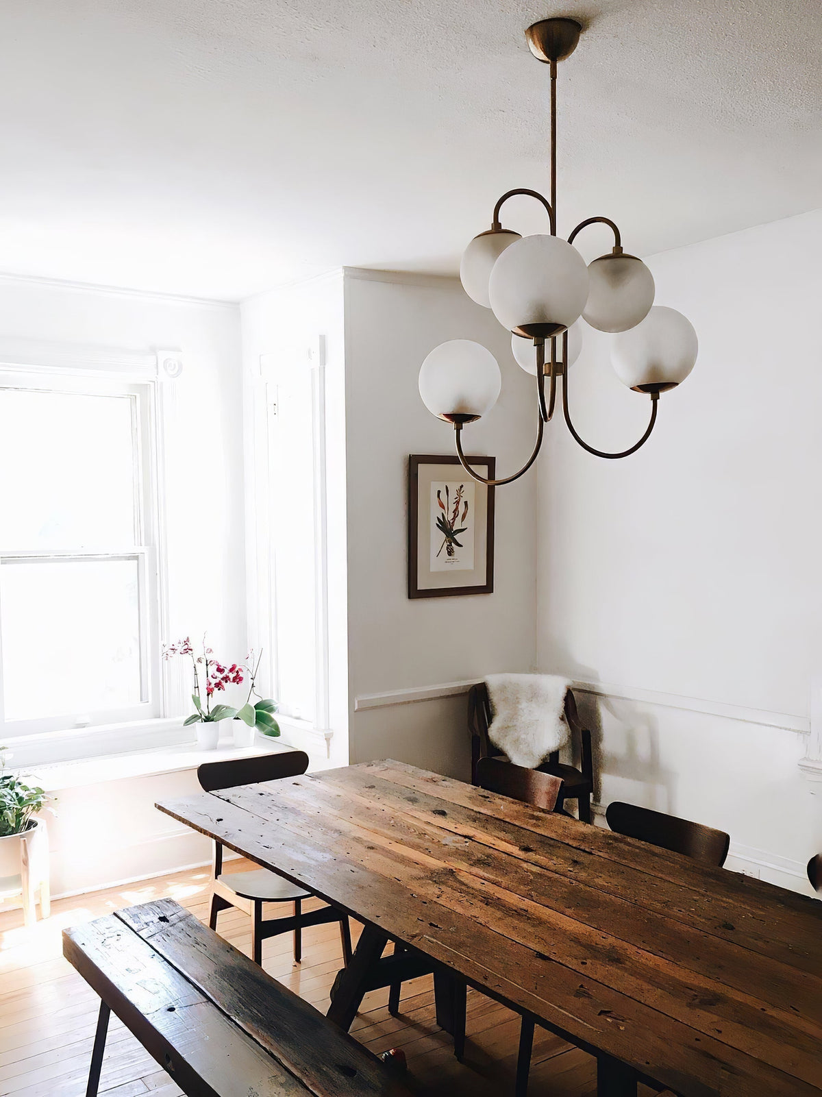 Lustra Chandelier en Laiton avec Globe et Bras Courbés - Neutralighting