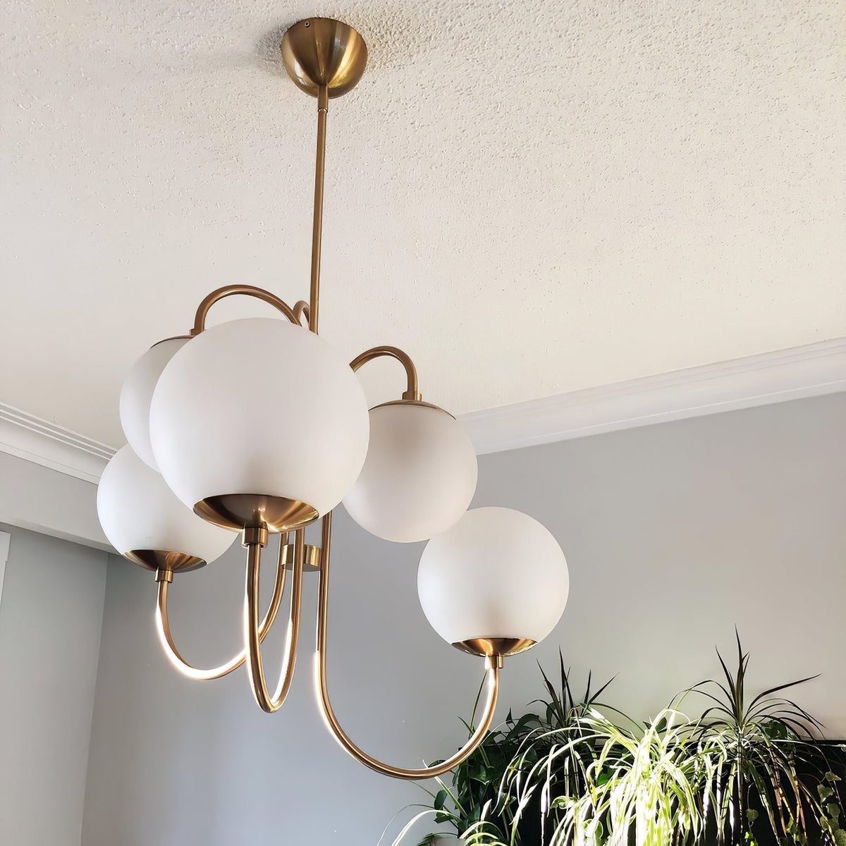 Lustra Chandelier en Laiton avec Globe et Bras Courbés - Neutralighting