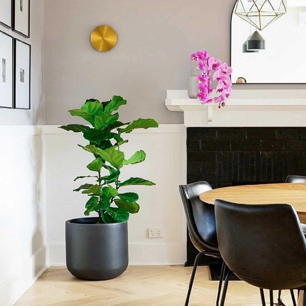 Tivral Lampe Murale Minimaliste en Laiton - Neutralighting