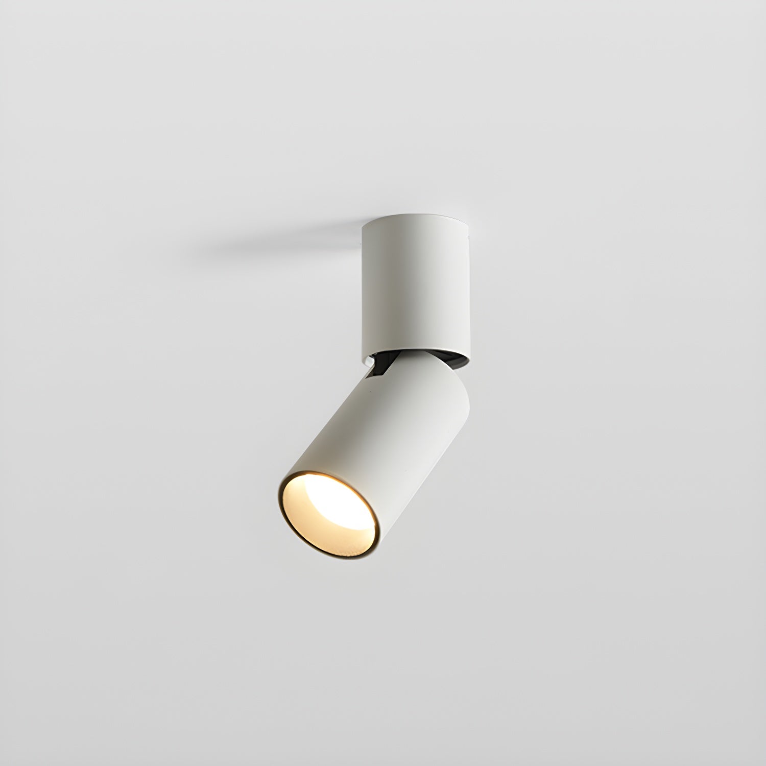Elvynira Plafonnier à éclairage de surface réglable - Neutralighting