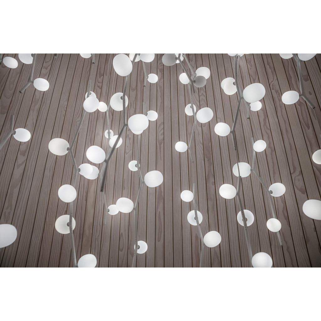 Isolora Suspension Verticale Verre Moderne - Neutralighting