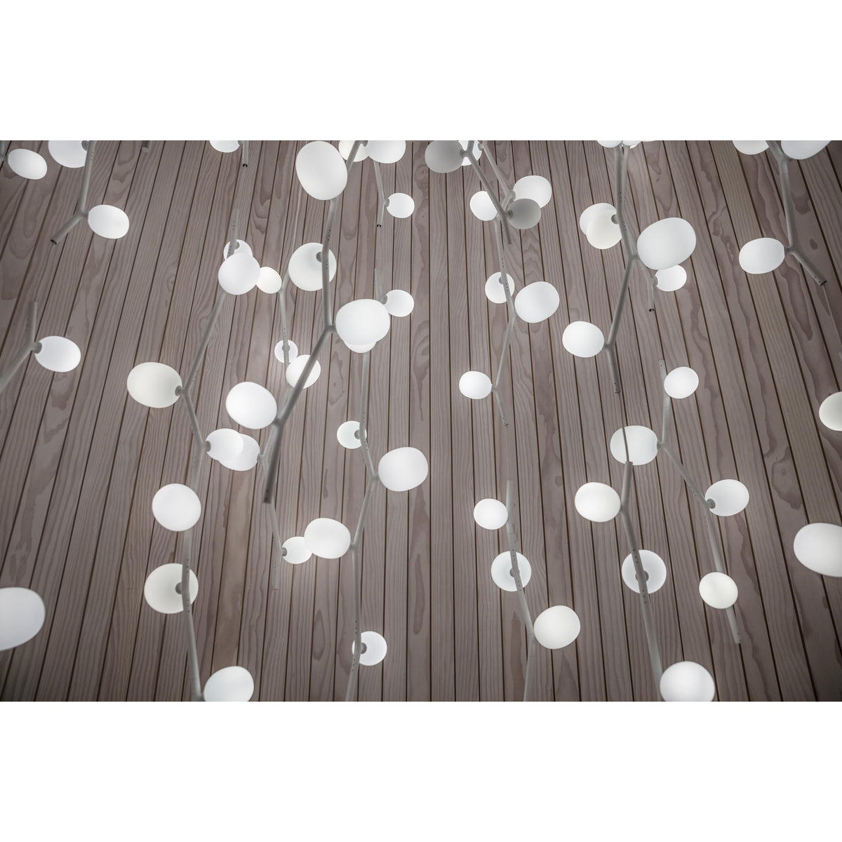 Isolora Suspension Verticale Verre Moderne - Neutralighting
