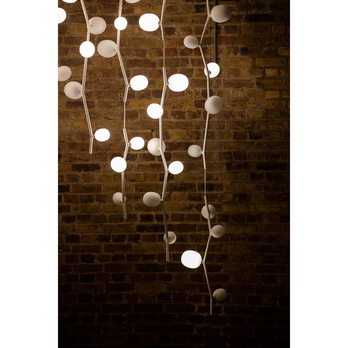 Isolora Suspension Verticale Verre Moderne - Neutralighting