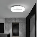 Erraeiel Lampe Plafonnier Artistique Moderne Minimaliste - Neutralighting