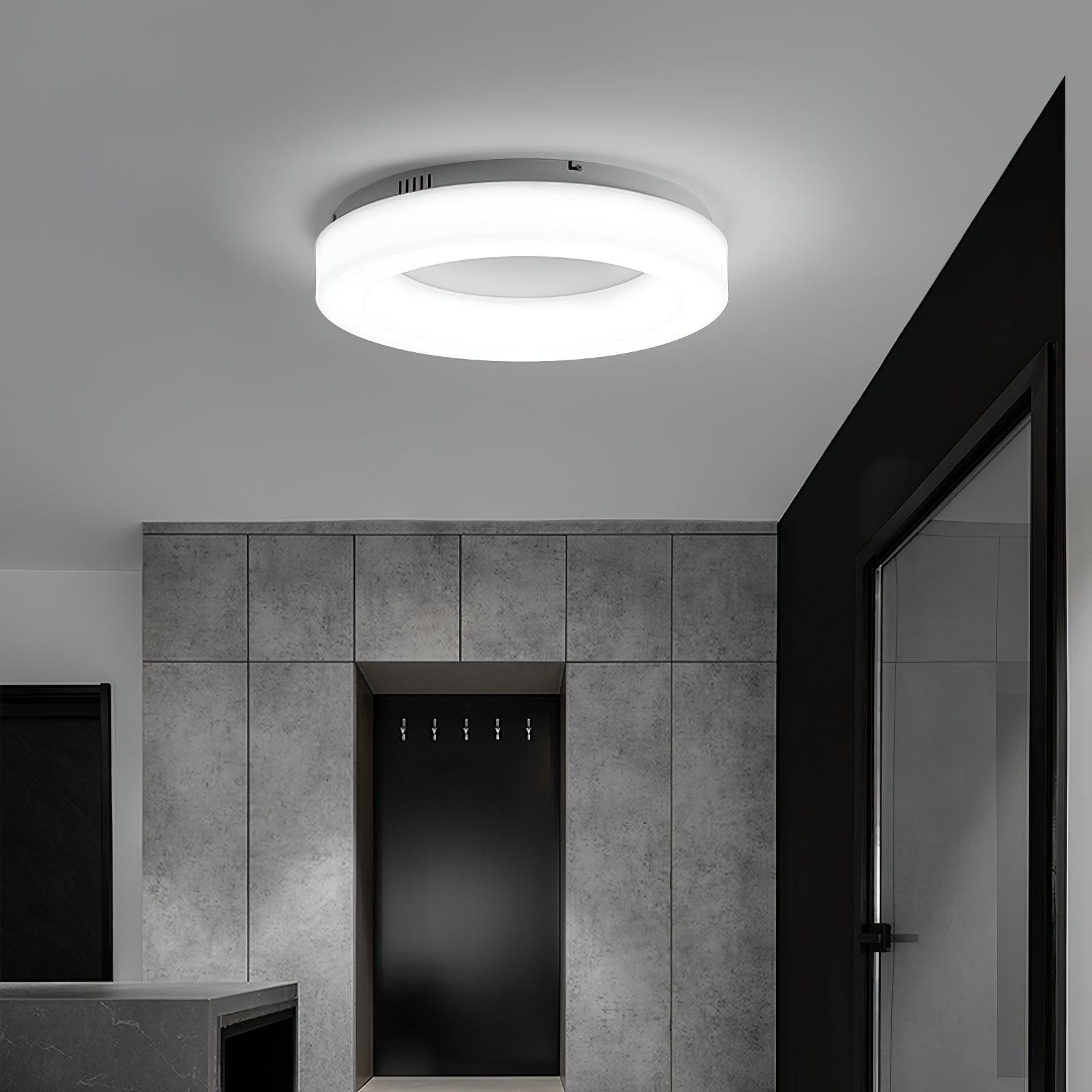 Erraeiel Lampe Plafonnier Artistique Moderne Minimaliste - Neutralighting